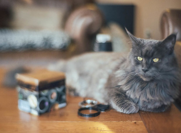 A Photographers Guide to Freelensing, The Poor Mans Tilt Shift Lens 1jLt3k6