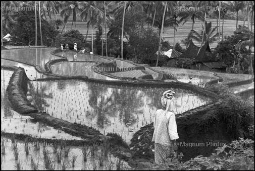 Learn Composition from the Photography of Henri Cartier Bresson Henri Cartier Bresson Waiting 002