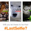 World Wildlife Fund's #LastSelfie Campaign Uses Snapchat to Raise Awareness About Endangered Species