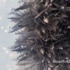 The Beauty of Chemical Reactions Captured in Macro with a Panasonic GH4
