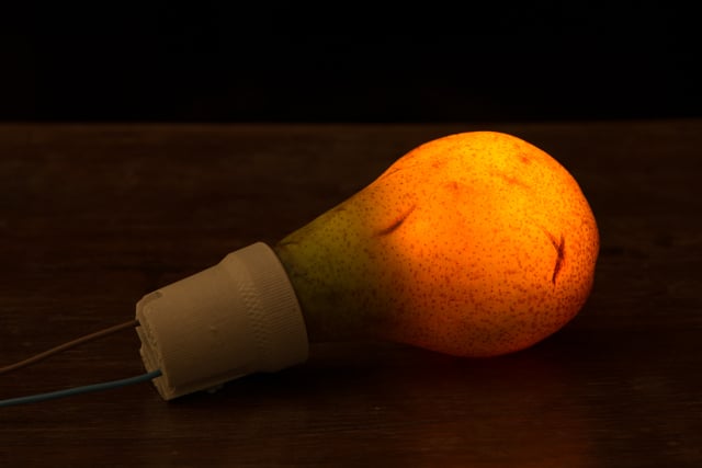 PP Pear light bulb