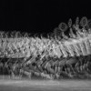 The Graceful Movements of