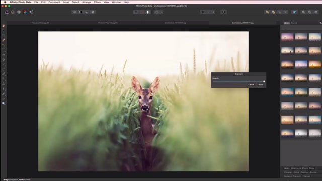 Adobe photoshop filters free download for mac torrent