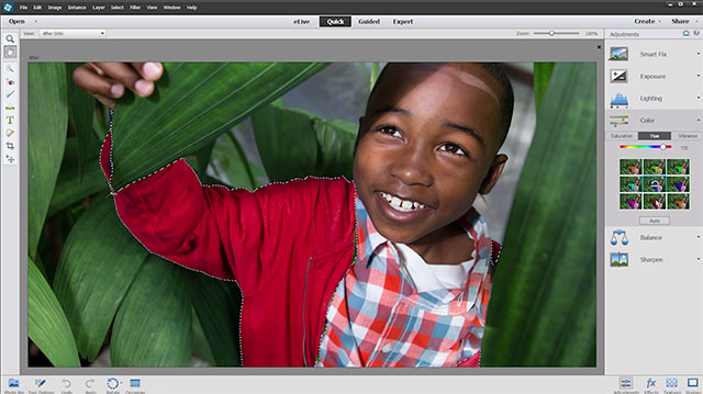 adobe photoshop elements 14 full download