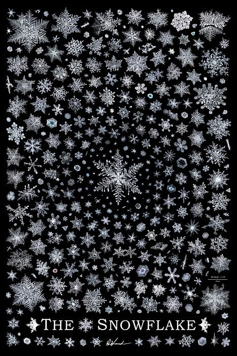 the-snowflake