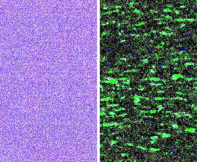 Crops of the RAW (left) and JPEG (right) after boosting exposure by 5 stops.