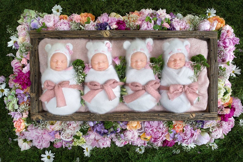 Newborn Photos Of Ultra Rare Identical Quadruplets