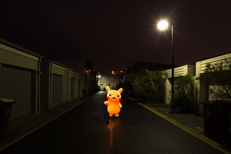  wildlife photography pokemon real world 