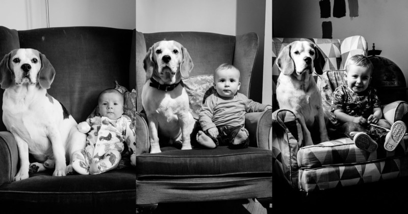Dad Shoots One Photo of His Baby and Beagle Every Month for Two Years