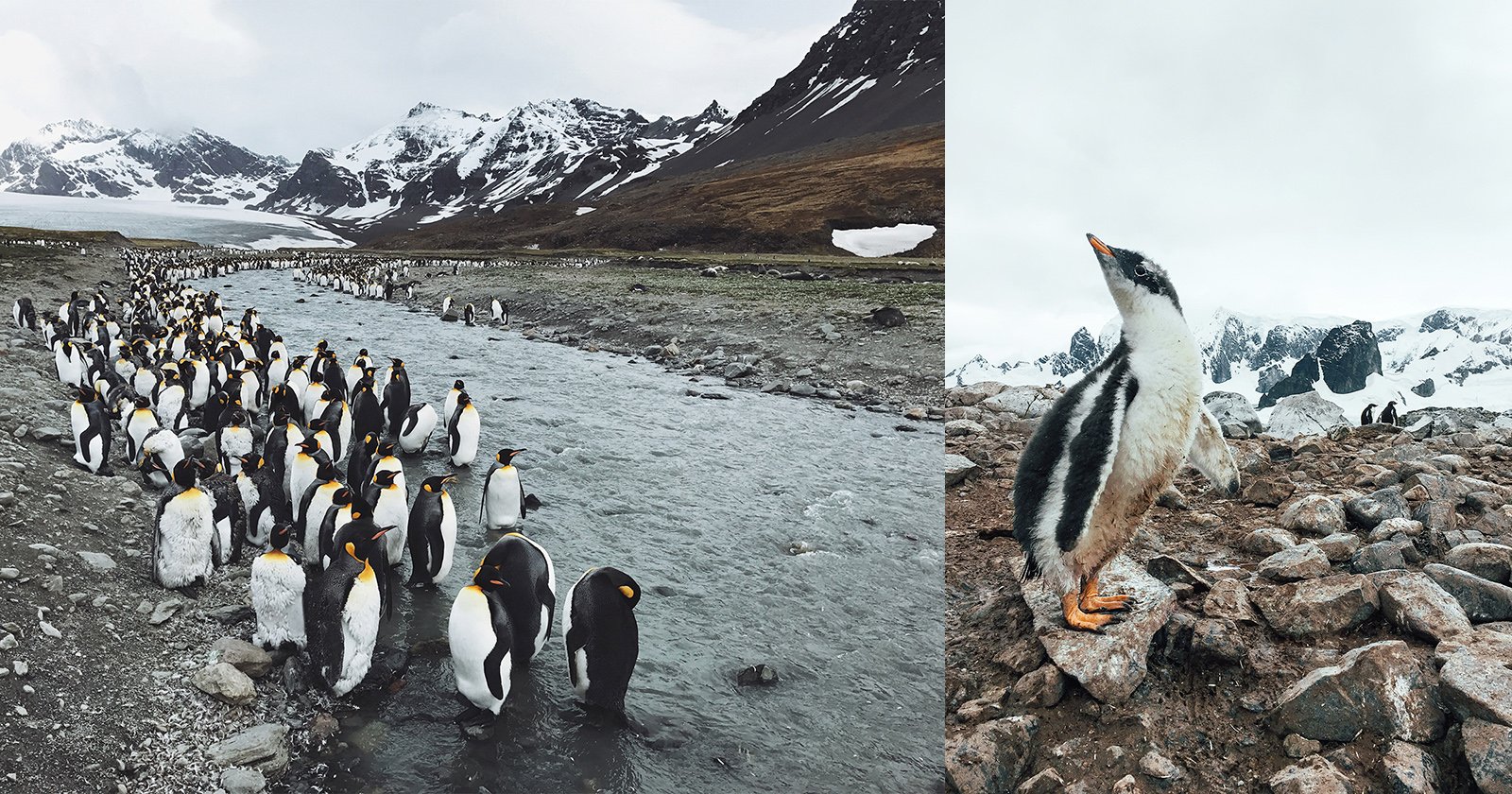 Shooting with the iPhone in Antarctica