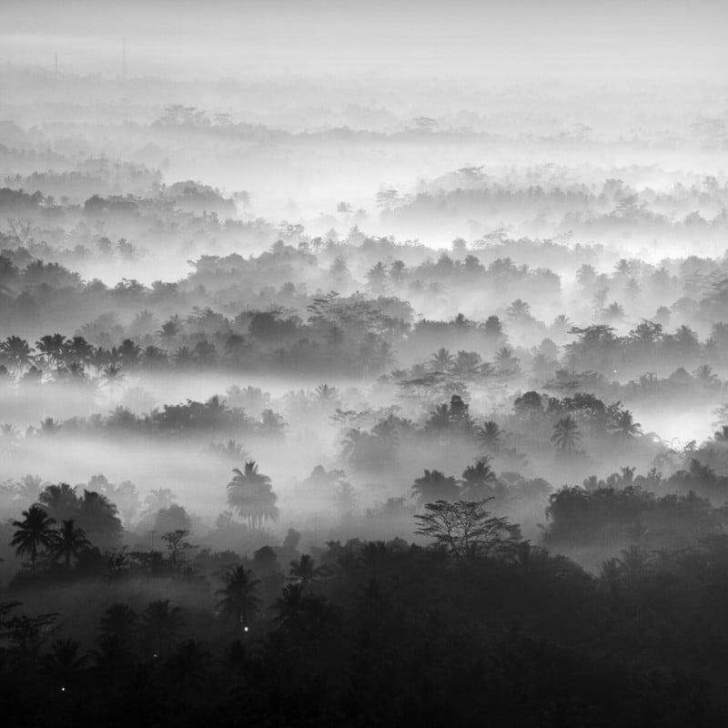 Photos of the Misty Forests Around the Worlds Largest Buddhist Temple