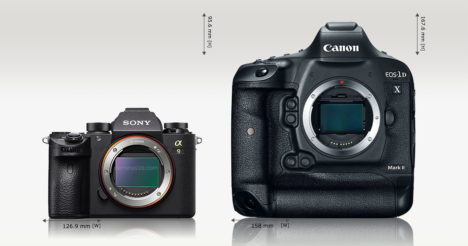 Size Comparison: Sony a9 vs a7R II, Canon 5D Mark IV, and 1DX Mark II