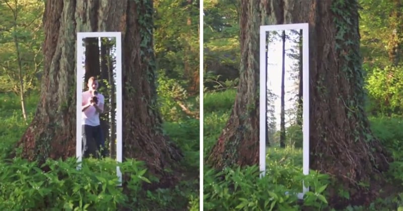  forest mirror illusion bending people minds 