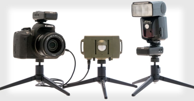 motion detection camera wildlife