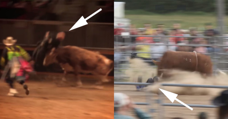  rodeo photographer has survived two insane hits 
