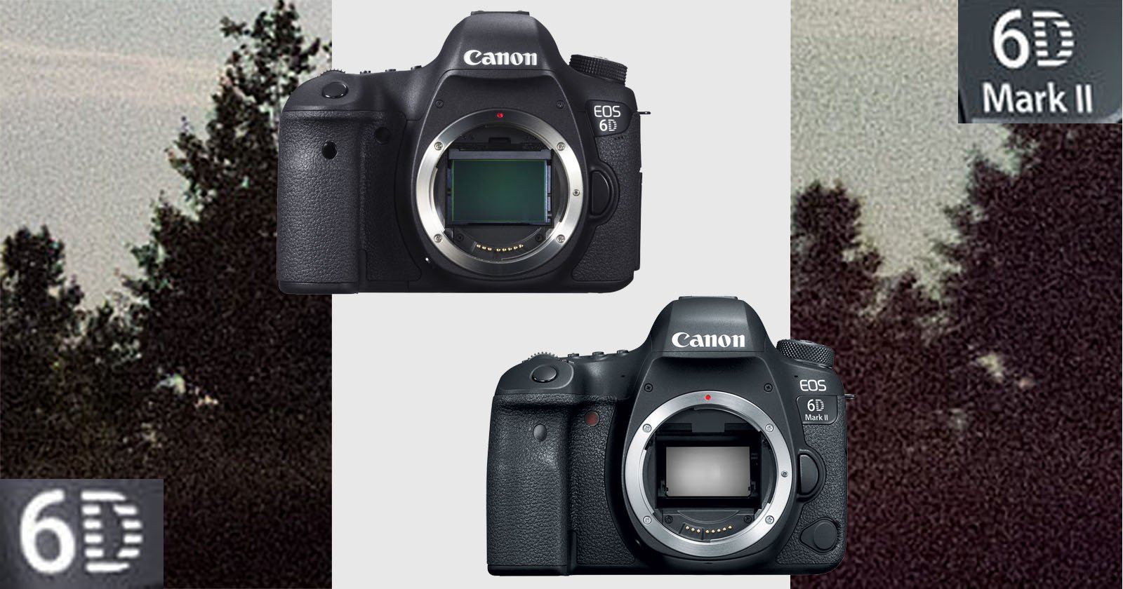 Canon 6D vs. 6D II: Heres a High ISO Noise Comparison