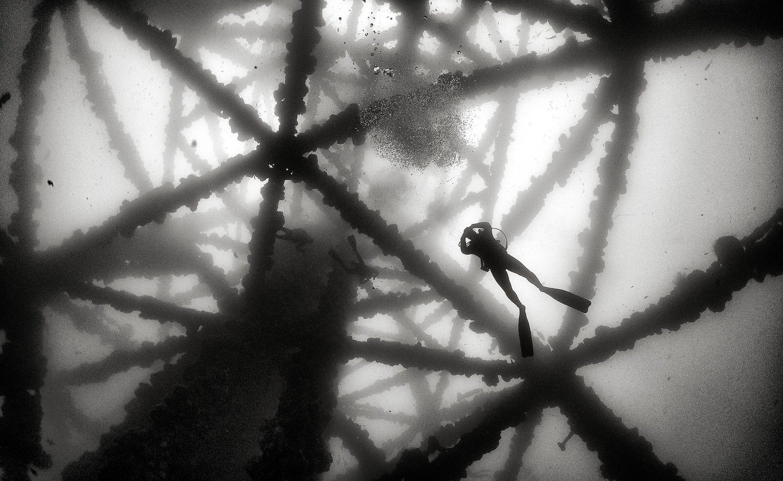 Photos of a Diver Under an Oil Rig