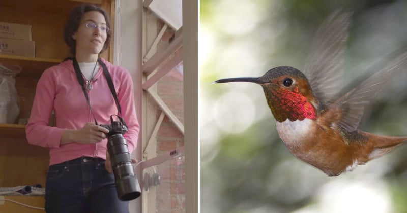 The Photographer Whos Friends with Over 200 Hummingbirds
