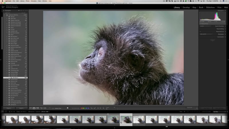 Harnessing the Power of Auto-Stacking in Lightroom