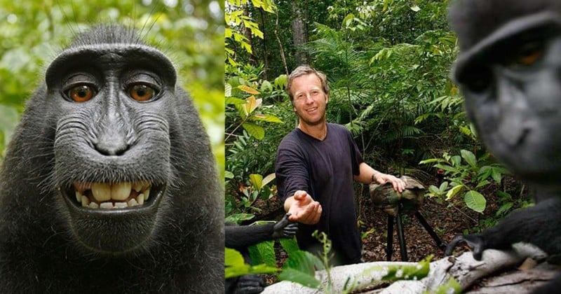  photographer settles monkey selfie copyright lawsuit 