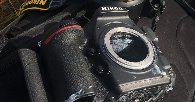 A Nikon D850 Field Test Gone Wrong