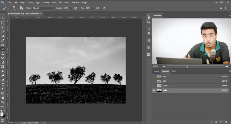 Make Difficult Selections Using Alpha Channels in Photoshop