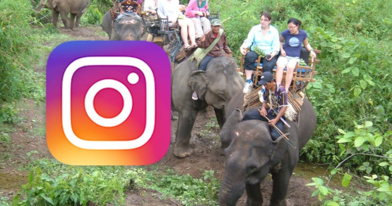  instagram fights wildlife exploitation hashtag warnings 