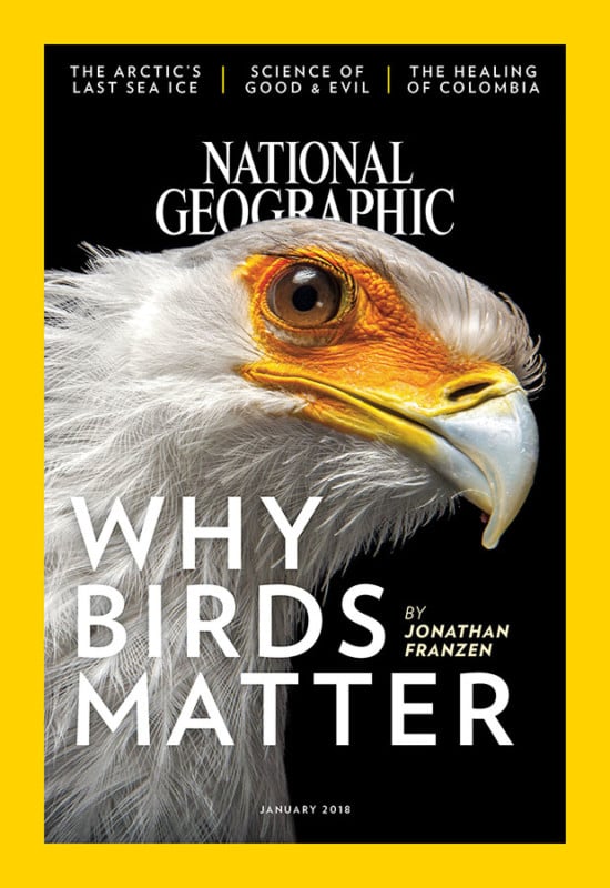 This Timelapse Shows 130 Years of Nat Geo Covers in 2 Minutes PetaPixel