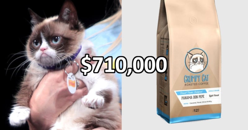 Grumpy Cat Wins $710,000 in Copyright Infringement Lawsuit