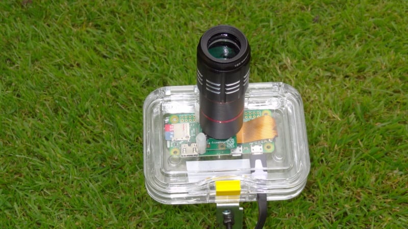 wildlife video camera motion sensor