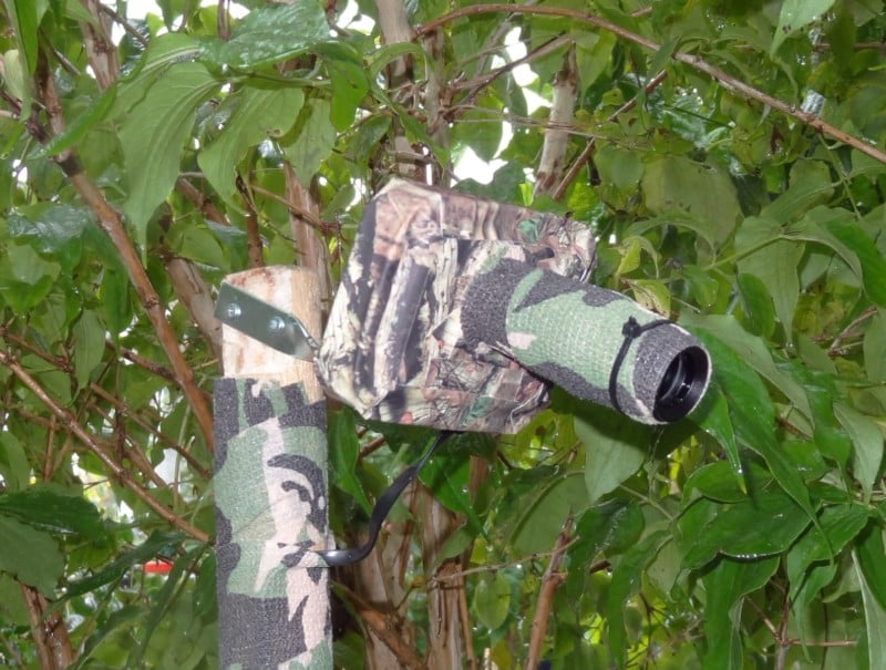 motion sensor camera outdoor wildlife