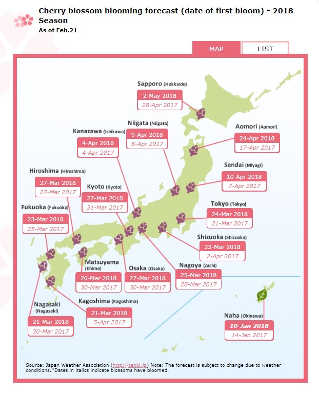 Cherry Blossom Chart
