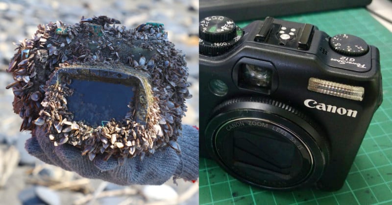 This Camera Was Lost at Sea for 2 Years  Its Photos Just Led to Its Owner