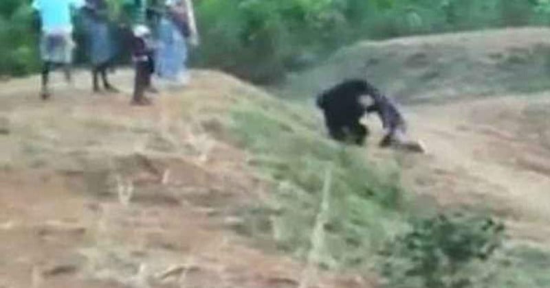 Man Tries to Snap Selfie with Bear, Gets Mauled to Death