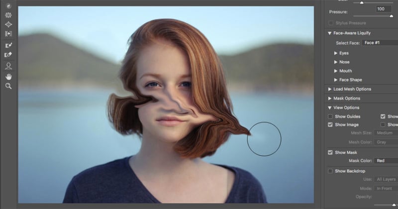  how fix glitchy liquify brush photoshop windows 