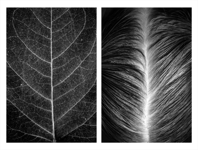 Photos That Show Similarities Between the Human Body and Nature
