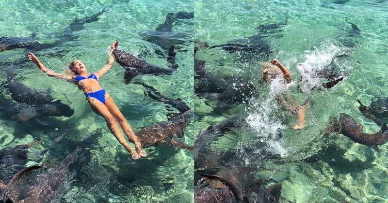  instagram model bitten shark during photo shoot 