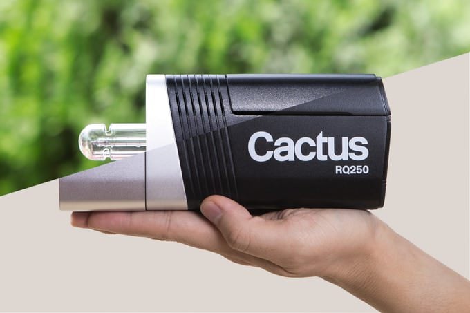  cactus rq250 tiny 250ws battery-powered ttl wireless monolight 