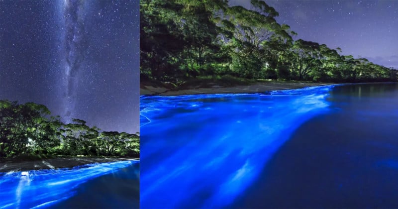  how photograph bioluminescent oceans 