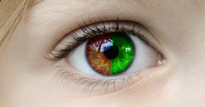 The Red and Green Specialists: Why Human Color Vision is So Odd