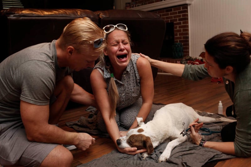  heartbreaking photos pet owners saying goodbye their dying 