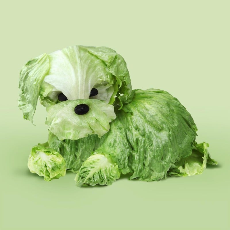  clever photos animals made out food 
