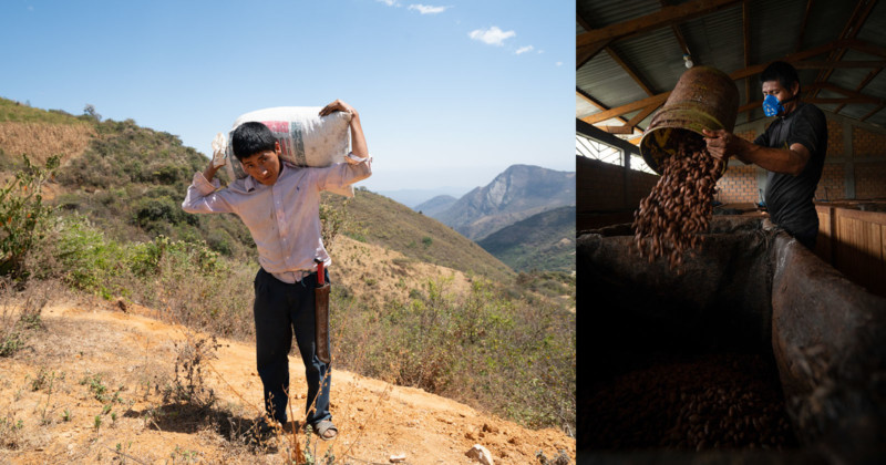 Photographing Coffee and Cacao in Peru