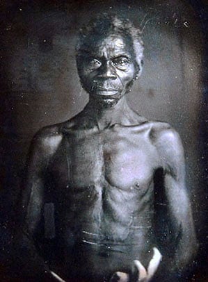  harvard slaves from photos 