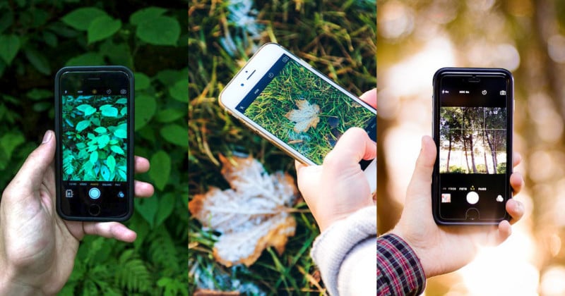 This Free Shazam for Nature App Can Identify Plants and Animals in Photos