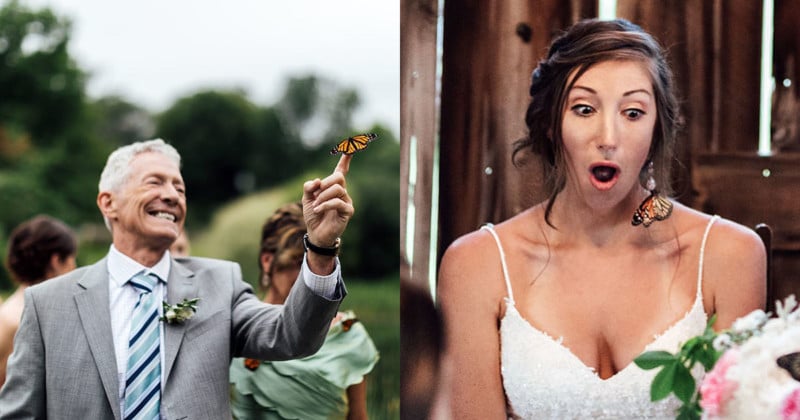Butterflies Released to Honor Grooms Late Sister Stay for Entire Wedding