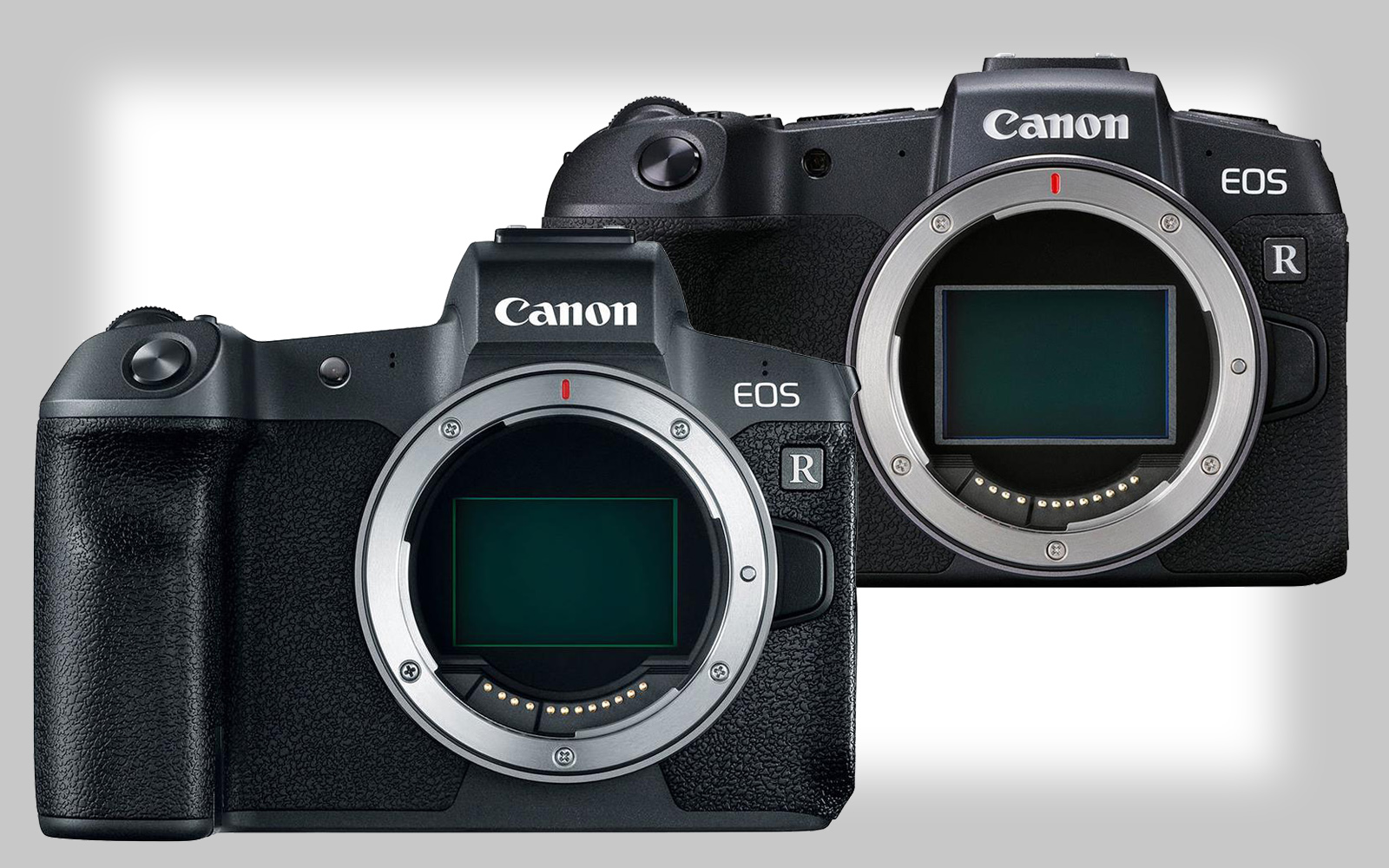 Canon Eos System Chart