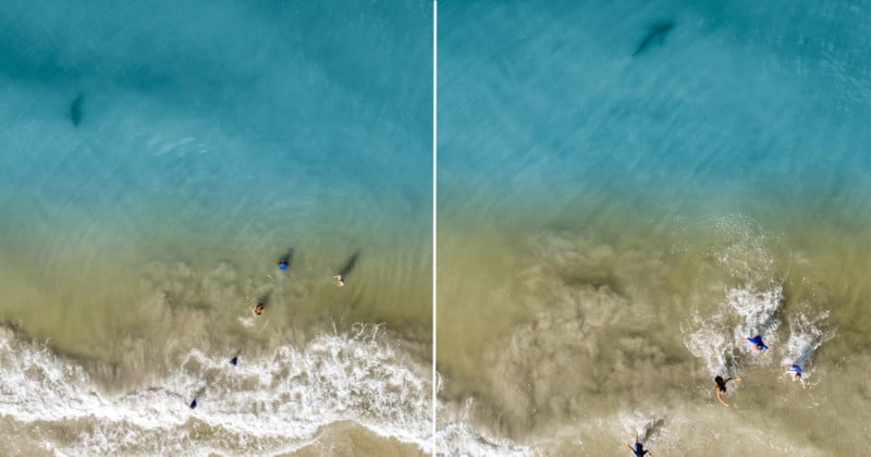  photographer using drone spots shark approaching his family 