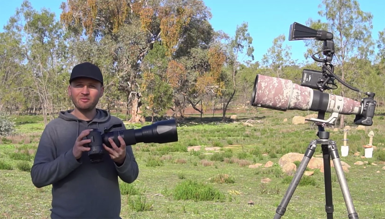 $20,000 vs $2,000: Can You Shoot Professional Bird Photos on a Budget?