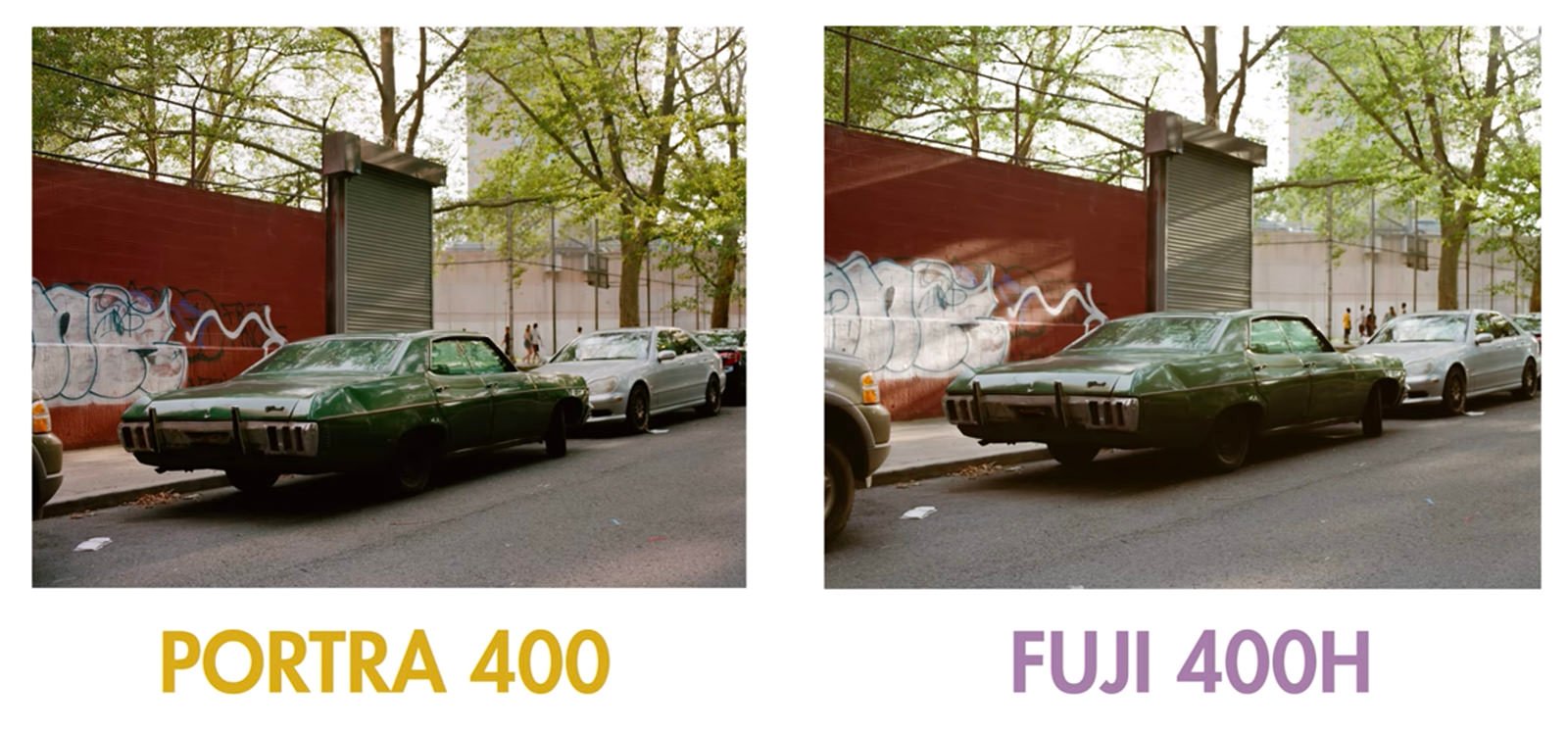 Comparing Three of the Most Popular Medium Format Color Films